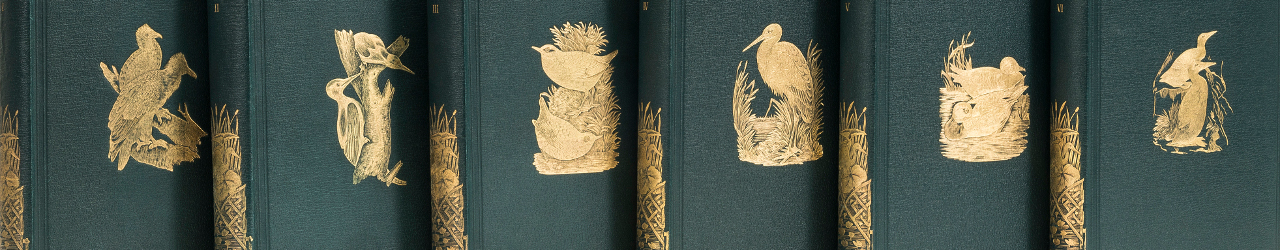 Online Sale: Books and Works on Paper Online Sale: Books and Works on Paper